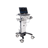 Vivid IQ GE HealthCare